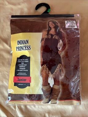 California Costumes Indian Princess Costume - Brown